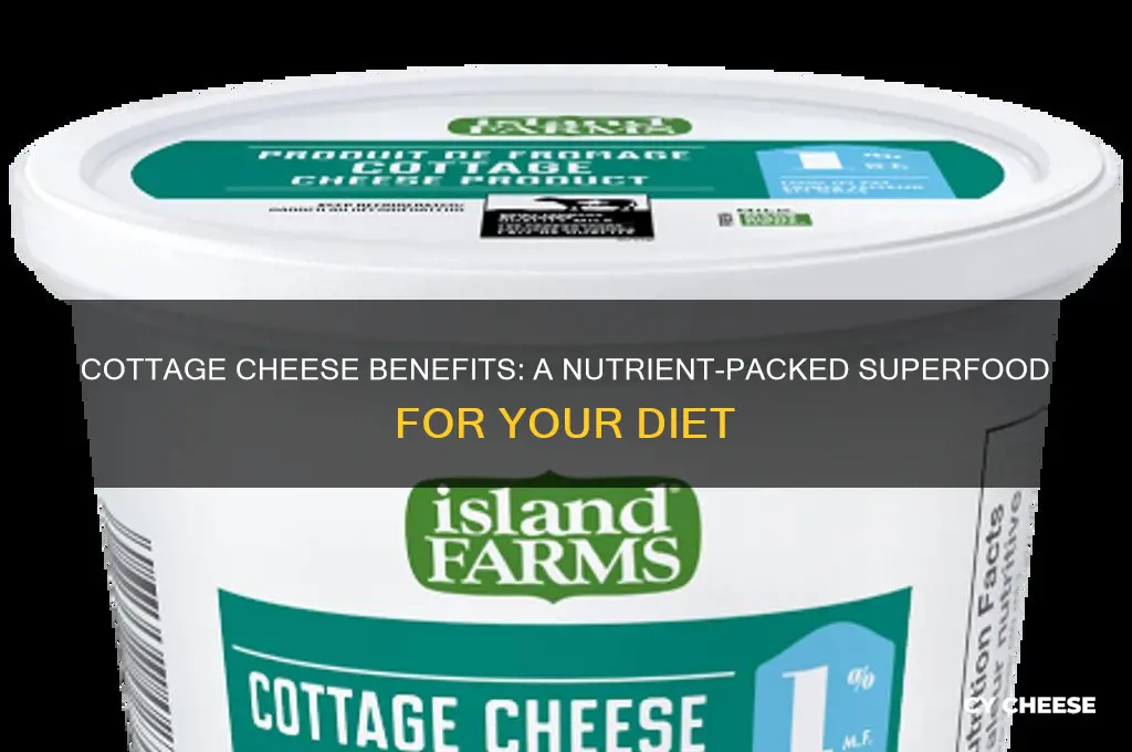 why is cottage cheese healthy