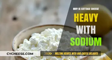 Why Cottage Cheese Packs Sodium: Uncovering the Salty Truth