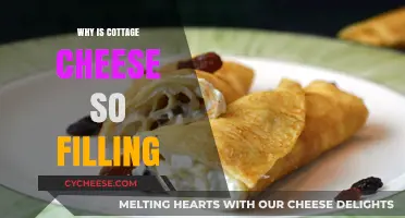 Cottage Cheese: The Surprisingly Filling Superfood You Need to Try