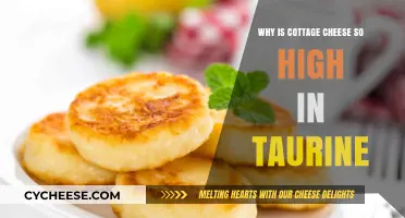 Cottage Cheese Taurine Boost: Uncovering Its High Taurine Content