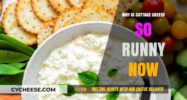 Why Cottage Cheese is Runny: Unraveling the Modern Texture Mystery