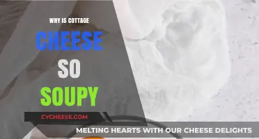 Why Cottage Cheese Turns Soupy: Causes and Solutions Explained