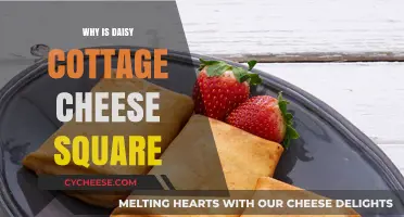 Why Daisy Cottage Cheese Comes in Square Containers: Explained