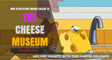 Detective Mouse's Mystery: Unraveling the Cheese Museum Summons