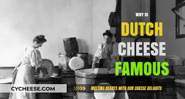 Discover the Rich History and Flavor of Famous Dutch Cheese