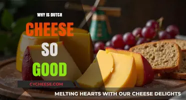 The Secret Behind Dutch Cheese's Irresistible Flavor and Quality