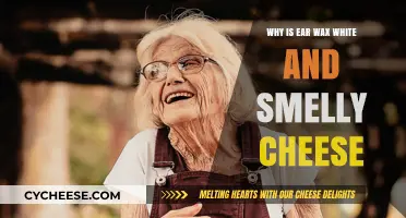 Why Ear Wax is White and Smelly Cheese: Surprising Science Explained