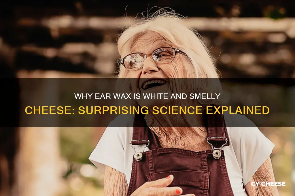 why is ear wax white and smelly cheese