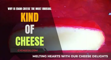Edam Cheese: The Oddity of the Cheese World