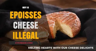Why Epoisses Cheese is Banned in Some Countries: Uncovering the Truth