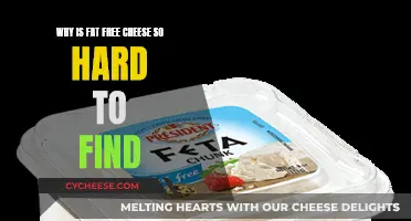 The Elusive Hunt: Fat-Free Cheese's Absence Explained