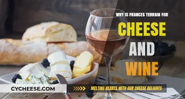 France's Perfect Terrain: Unlocking the Secrets of Cheese and Wine Excellence