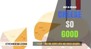 The Art of French Cheese: Unlocking the Secrets of Its Irresistible Flavor