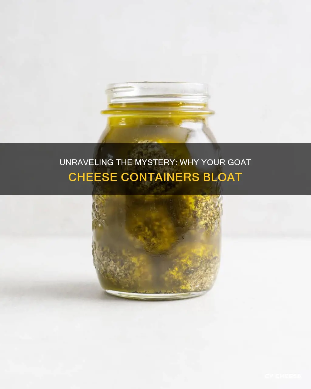 why is goat cheese container bloating