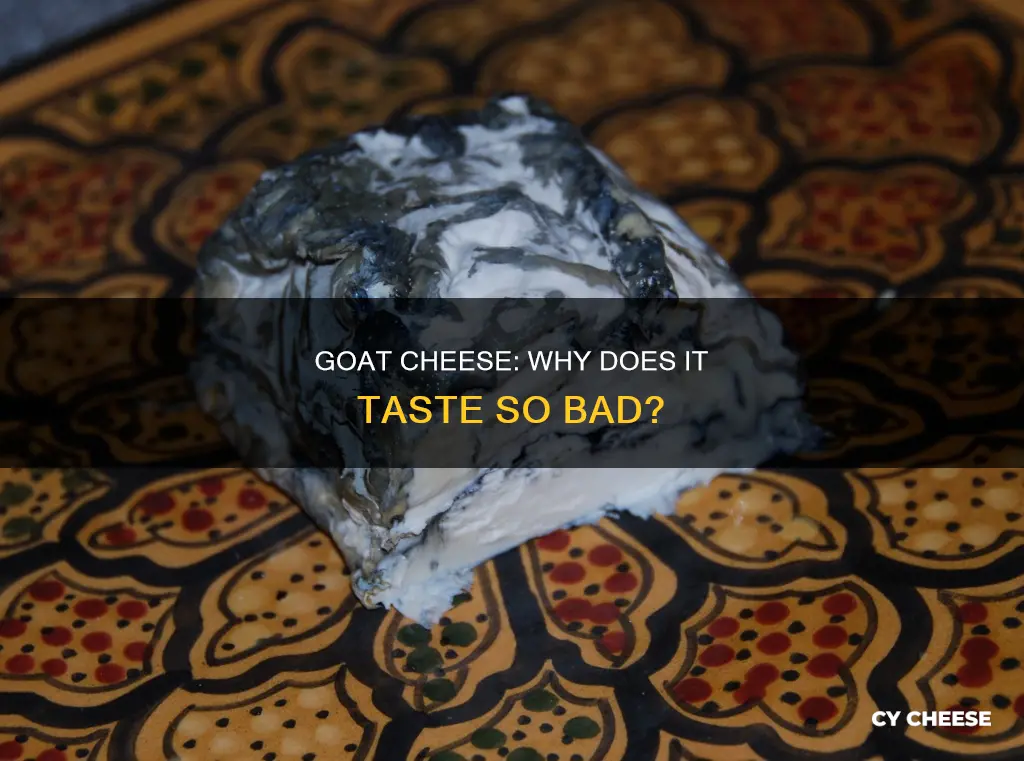 why is goat cheese so gross