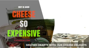 Why Premium Cheese Costs More: Unraveling the Price of Quality