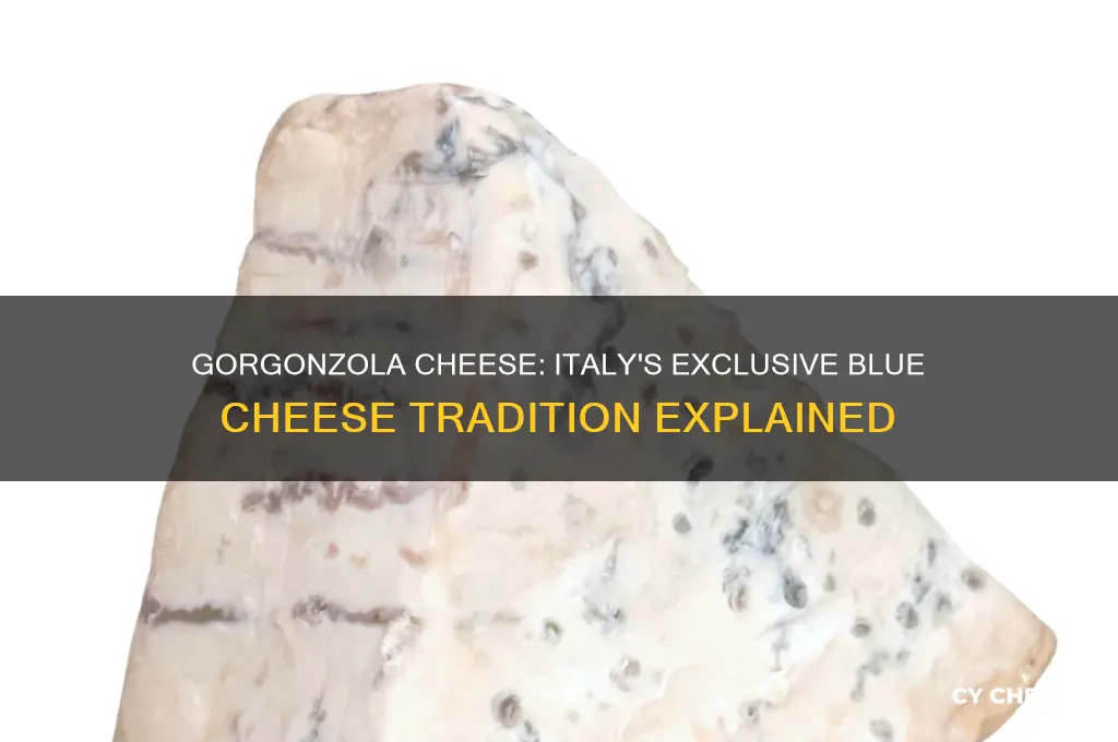 why is gorgonzola cheese only produced in italy