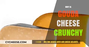 Why Gouda Cheese Develops a Crunchy Texture: Surprising Facts Explained