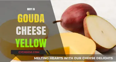 Why Gouda Cheese is Yellow: Uncovering the Secret Behind Its Color