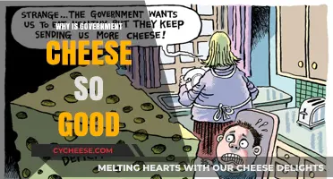 Why Government Cheese is Surprisingly Delicious: Uncovering the Secret