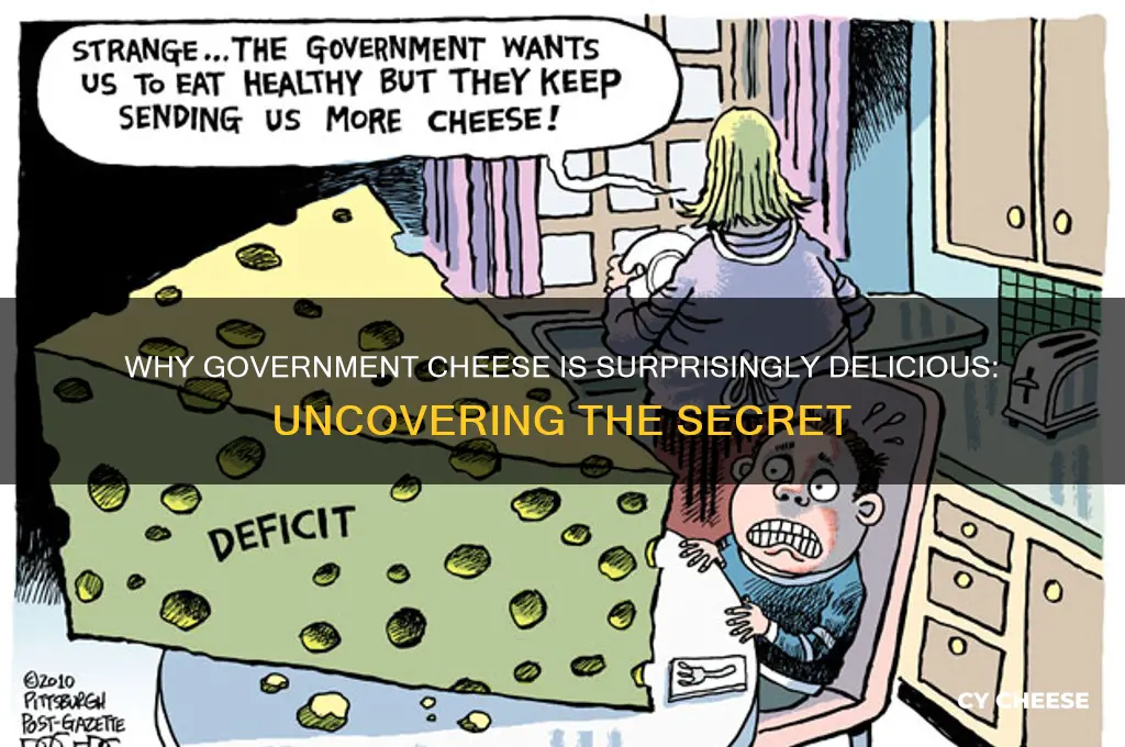 why is government cheese so good
