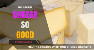 Gruyère Cheese: Unveiling the Irresistible Flavor and Texture Secrets
