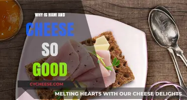 The Irresistible Magic of Ham and Cheese: A Flavorful Journey