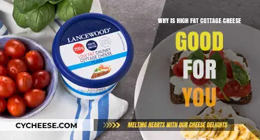 High-Fat Cottage Cheese: Nutritional Benefits and Health Advantages Explained