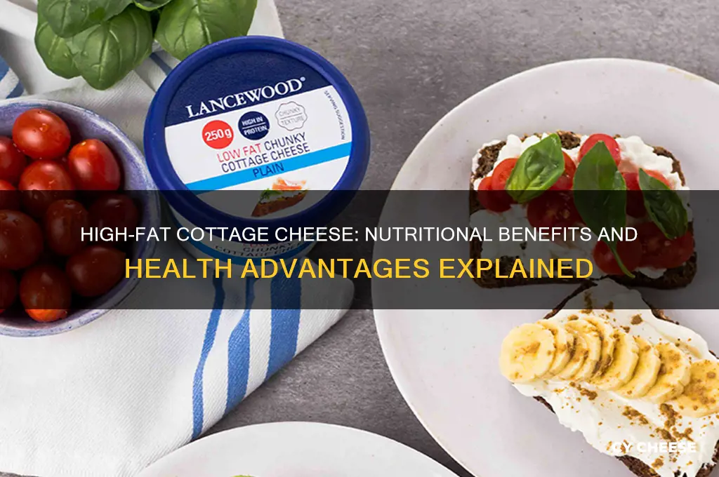why is high fat cottage cheese good for you