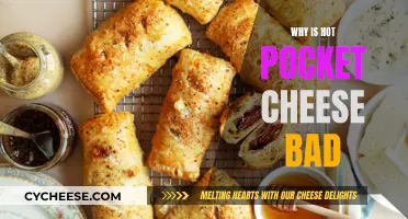 Hot Pocket Cheese: Is it Really That Harmful?