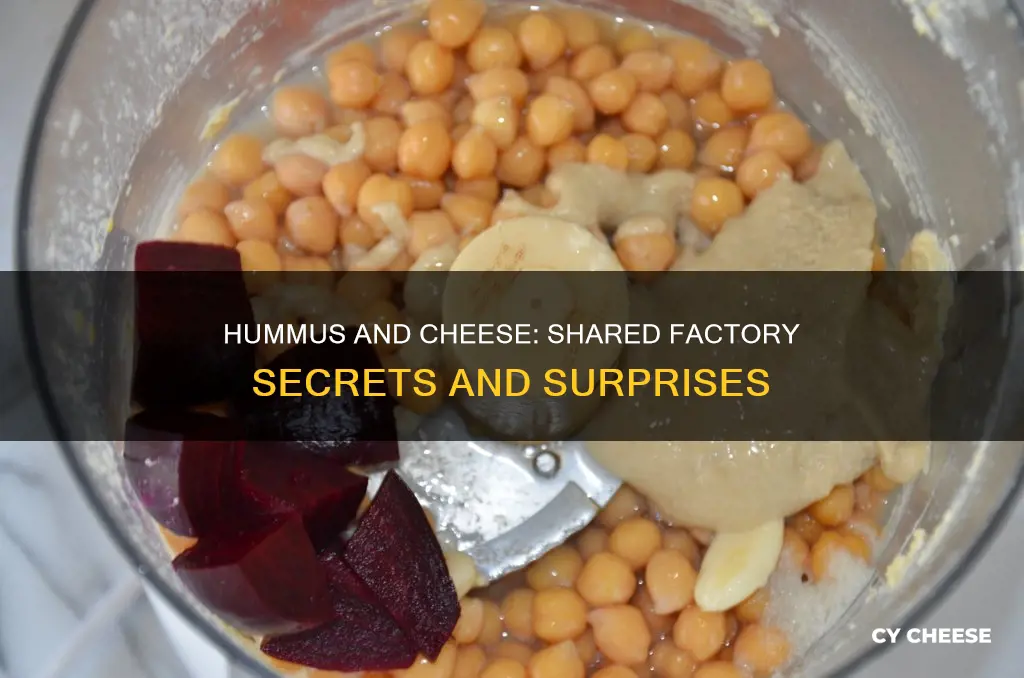 why is hummus made in a cheese factory