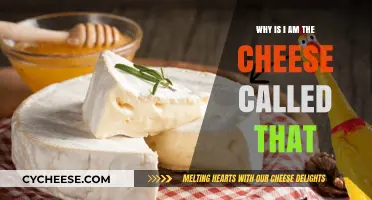 Unraveling the Mystery: Why is 'I Am the Cheese' Named So?