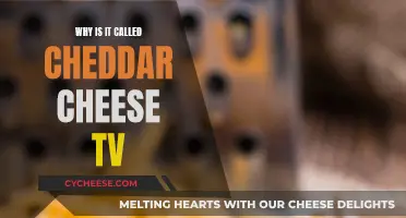 The Cheddar Cheese TV: A Fun Name for a Fun Channel