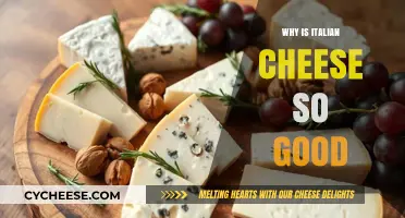 The Irresistible Charm of Italian Cheese: A Culinary Delight