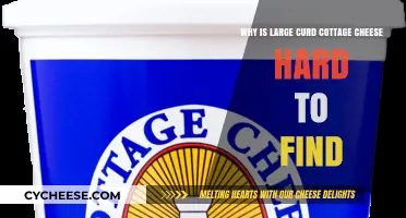 The Mystery of Large Curd Cottage Cheese Scarcity Explained