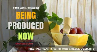 The Disappearance of Low-Fat Cheese: Reasons Behind Its Decline