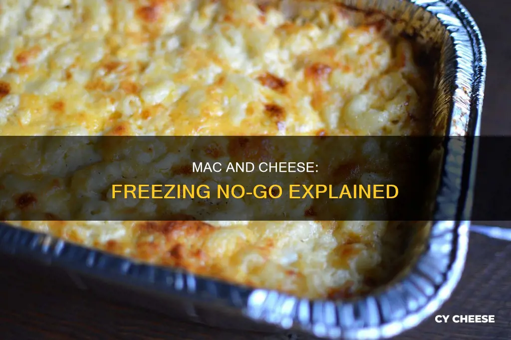 why is macaroni cheese not suitable for freezing