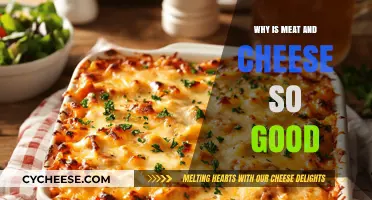 The Irresistible Allure of Meat and Cheese: A Flavorful Journey