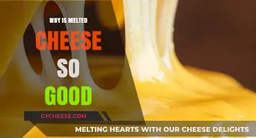 The Irresistible Science Behind Why Melted Cheese Tastes Amazing