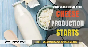 Pasteurizing Milk: Essential Step for Safe, Quality Cheese Production