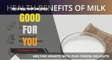 Dairy Delights: Health Benefits of Milk, Yogurt, and Cheese Explained