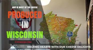 Wisconsin's Cheese Dominance: Unraveling the Dairy State's Tasty Legacy