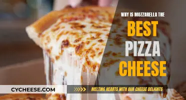 Mozzarella Magic: The Ultimate Pizza Cheese Experience