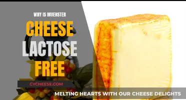 Muenster Cheese: Lactose-Free Delight for Dairy Lovers