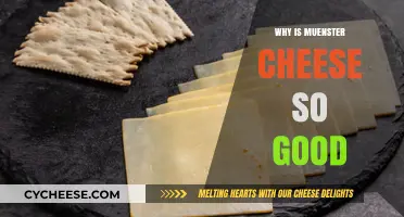 Muenster Cheese: Uncovering the Creamy, Flavorful Secret to Its Deliciousness