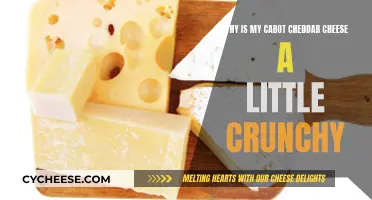 Crunchy Cheddar: Understanding the Texture of Cabot Cheese