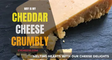 The Secret to Crumbly Cheddar: Unlocking the Perfect Texture