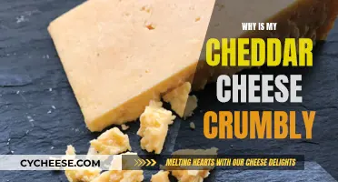 Cheddar Cheese Crumbles: Why It Happens and How to Fix It