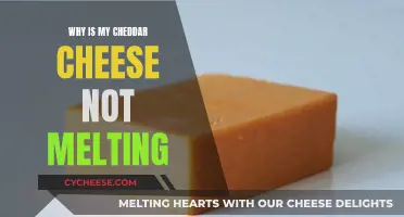 Cheese Conundrum: Why Cheddar Refuses to Melt