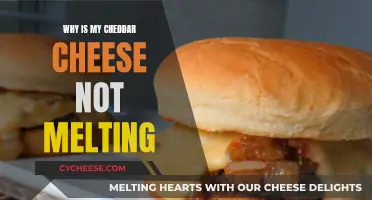 Cheddar Not Melting: What's Wrong?